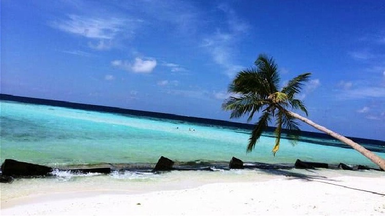 Beach at Maafushi Kaafu Atoll, Maldives